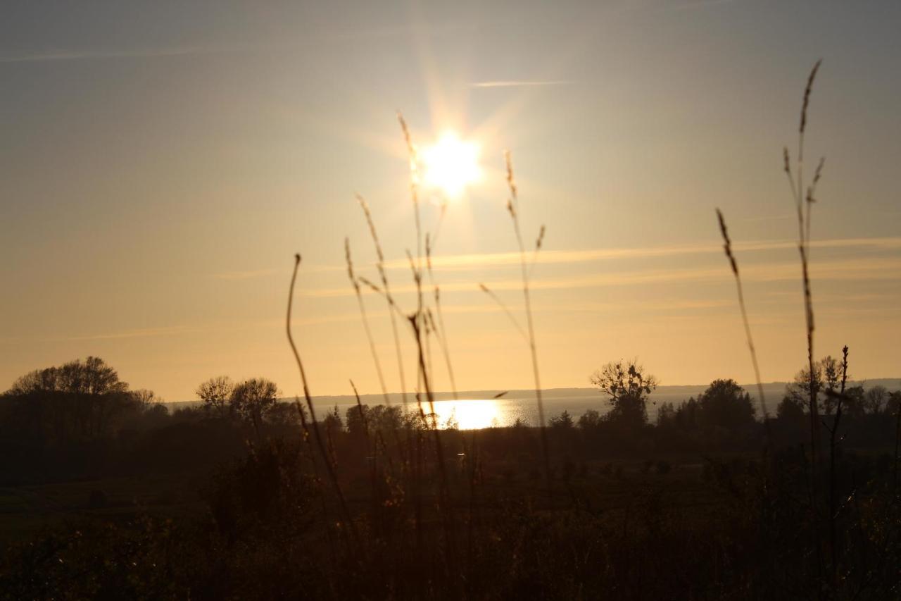 Agroturystyka Pod Kogutkiem Czysta Exterior foto